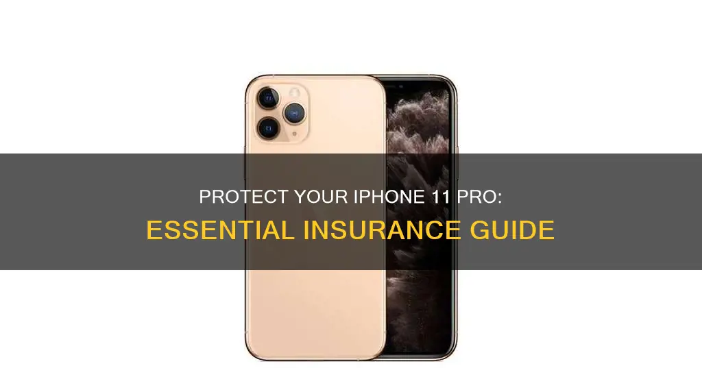 what kind of insurance for I phone 11 pro