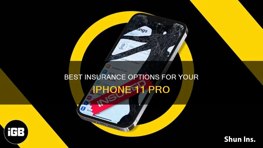 what kind of insurance for I phone 11 pro