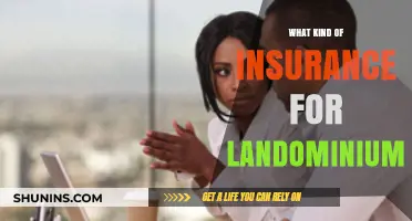 Landominium Insurance: What You Need to Know