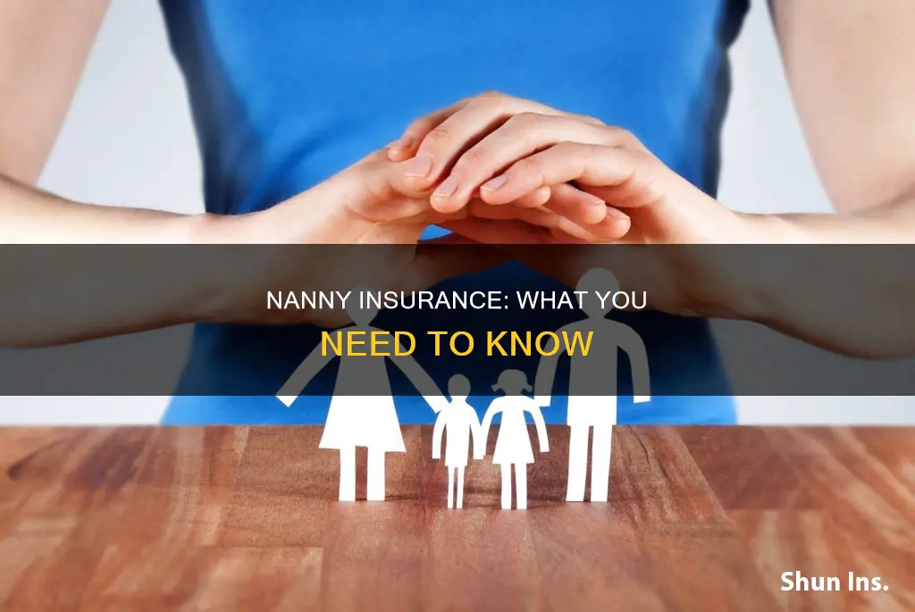 what kind of insurance for nanny