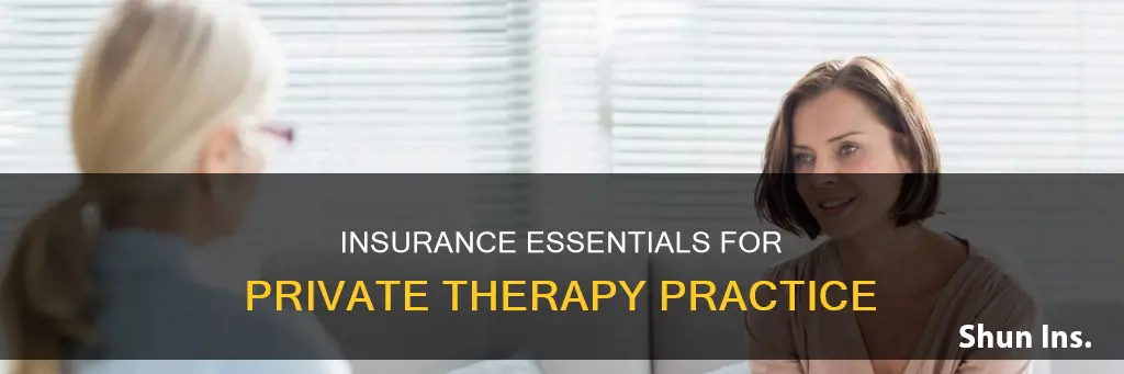 what kind of insurance for private therapy practice