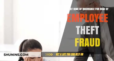 Protecting Your Business: Employee Theft and Fraud Insurance