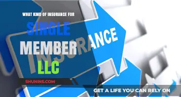 Single-Member LLCs: What Insurance Do You Need?