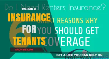 Tenant Insurance: What You Need to Know