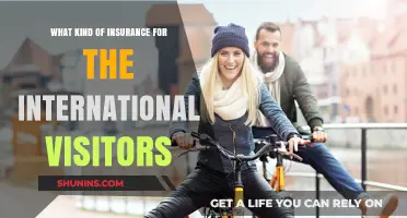 International Visitor Insurance: What Kind and Why?
