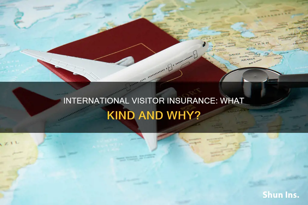 what kind of insurance for the international visitors