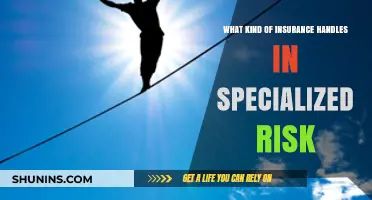 Specialized Risk Insurance: Customized Coverage for Unique Challenges