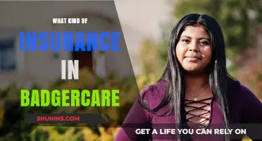 BadgerCare Insurance: What Types Are Covered?