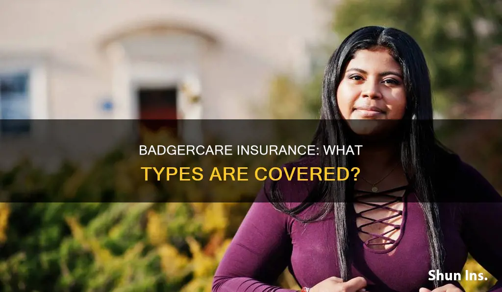 what kind of insurance in badgercare