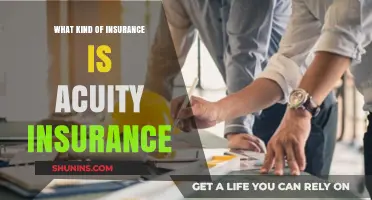 Acuity Insurance: What Type of Insurance Do They Offer?
