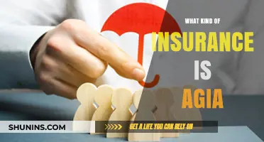 Agia Insurance: Comprehensive Coverage for Your Peace of Mind