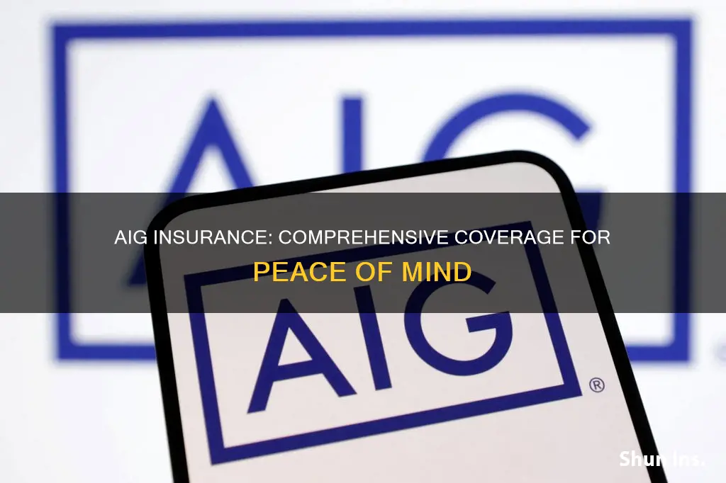 what kind of insurance is aig