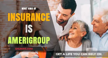 Amerigroup Insurance: Understanding the Basics of This Health Plan
