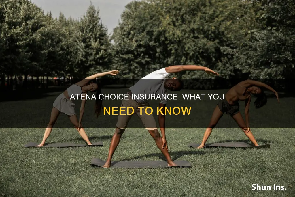 what kind of insurance is atena choice