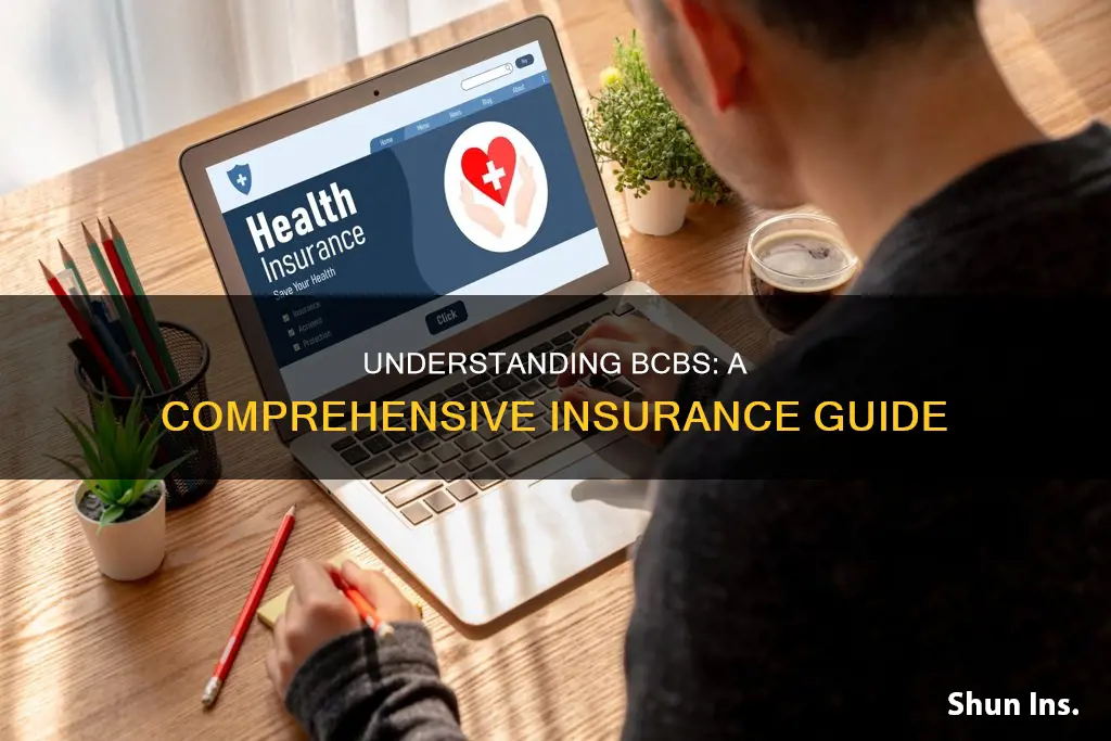 what kind of insurance is bcbs