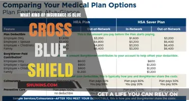 Blue Cross Blue Shield: What Type of Insurance Is It?