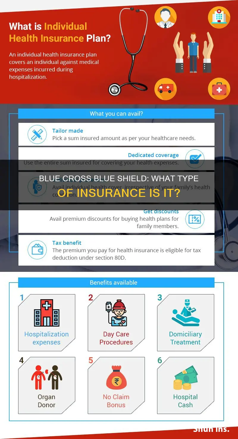 what kind of insurance is blue cross blue shield