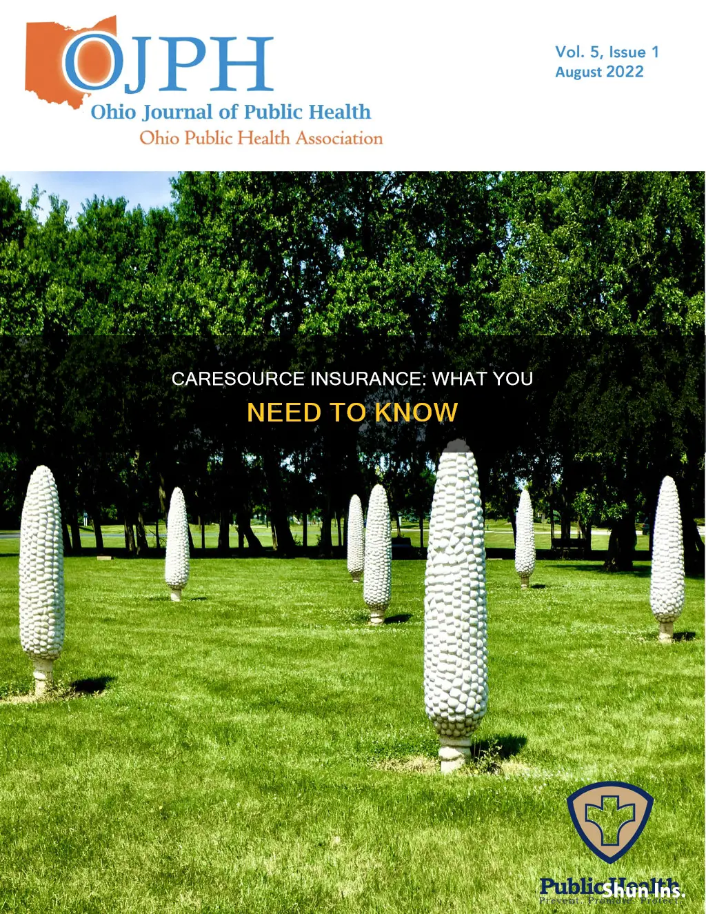 what kind of insurance is caresource