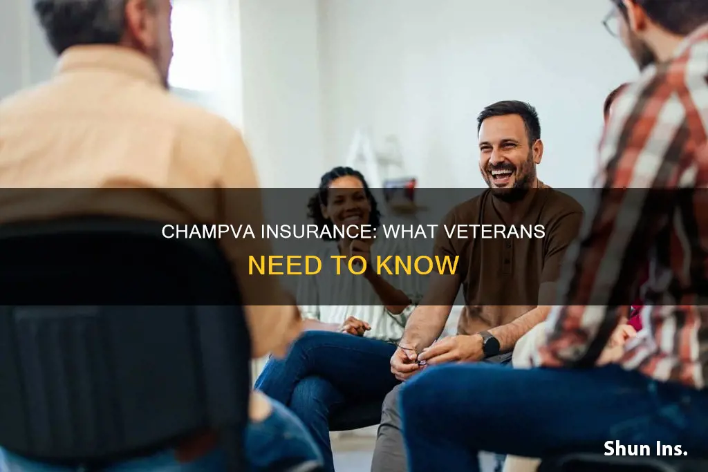 what kind of insurance is champva