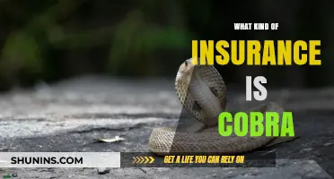 Understanding COBRA Insurance: Your Guide to Continued Coverage