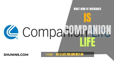 Companion Life Insurance: A Comprehensive Guide to Coverage Options