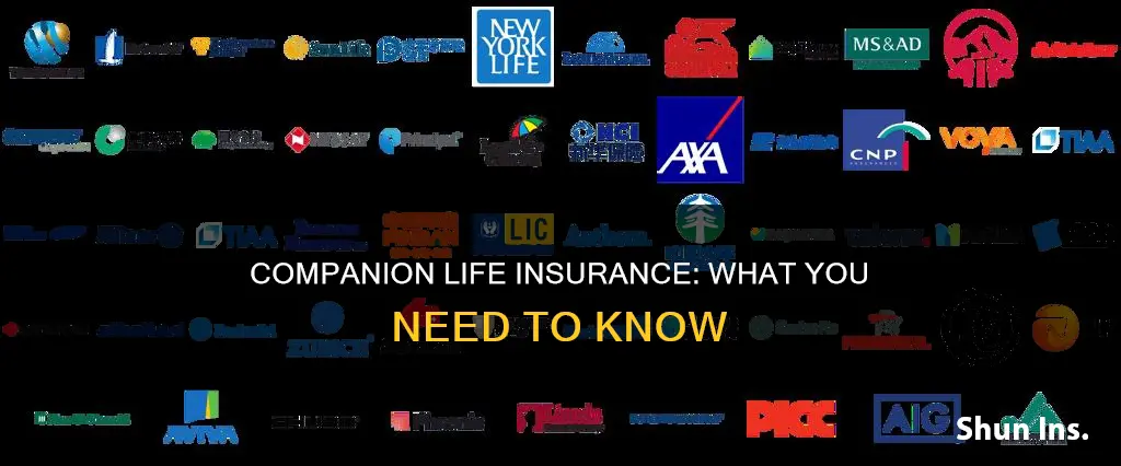what kind of insurance is companion life