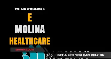 E. Molina Healthcare: Insurance for All?