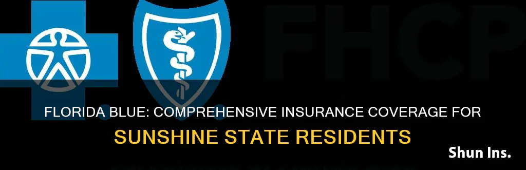 what kind of insurance is florida blue