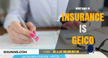 GEICO: Comprehensive Insurance Coverage for Your Needs