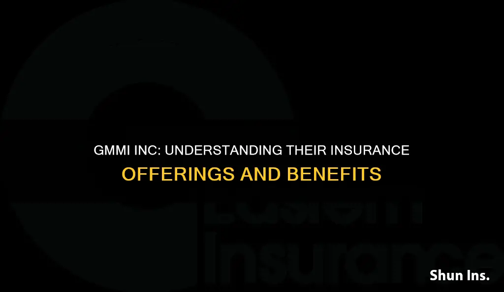 what kind of insurance is gmmi inc