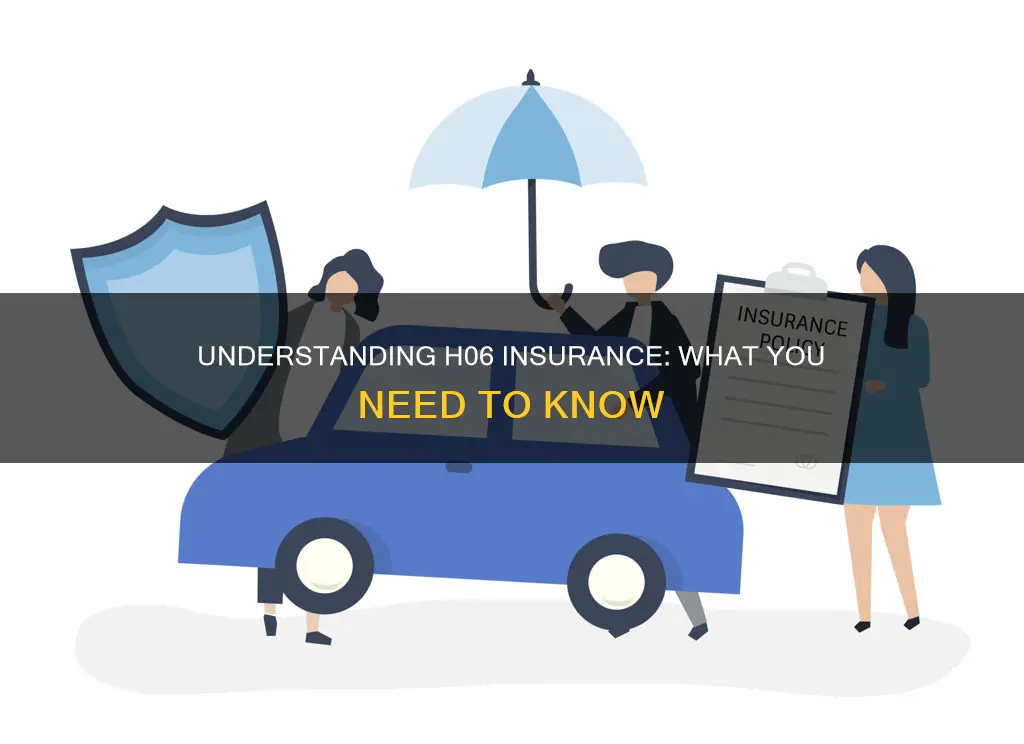 what kind of insurance is h06