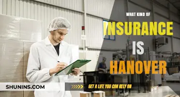 Hanover Insurance: What You Need to Know