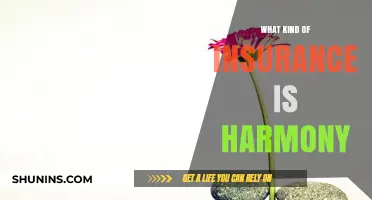 Harmony Insurance: Comprehensive Coverage for Your Needs