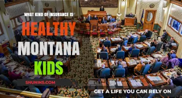 Montana's Children's Health Insurance: What's Covered?