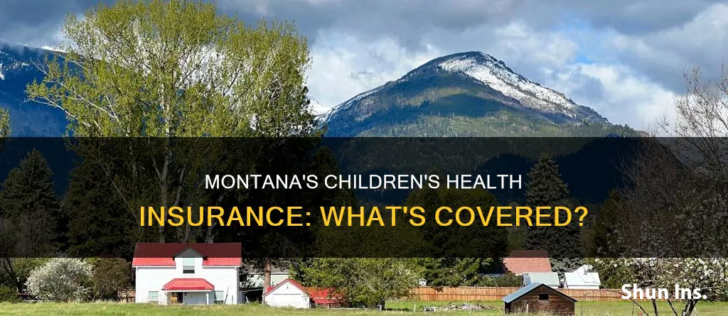 what kind of insurance is healthy montana kids