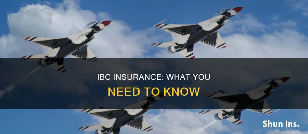 what kind of insurance is ibc