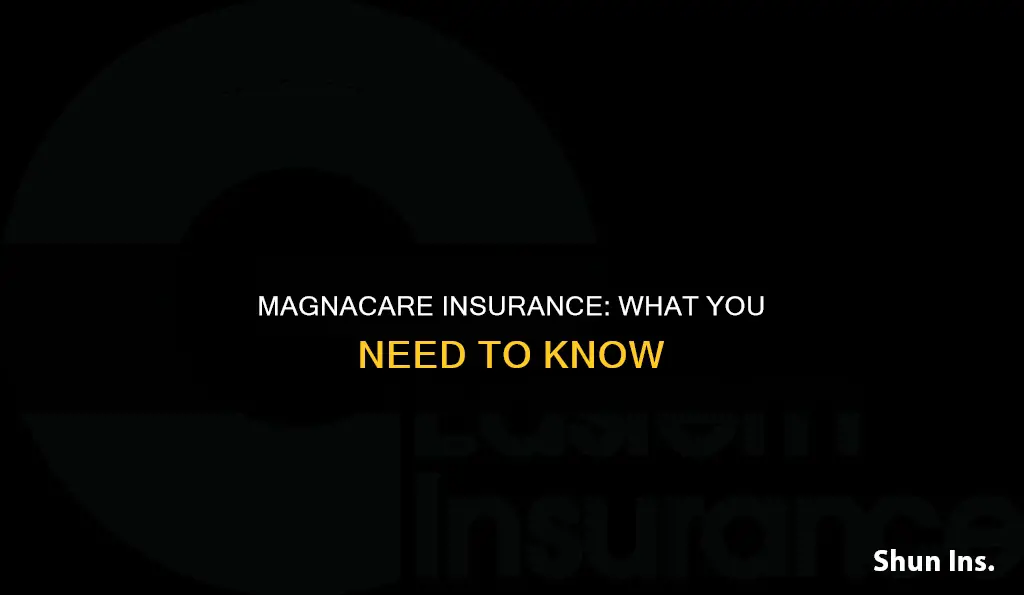 what kind of insurance is magnacare