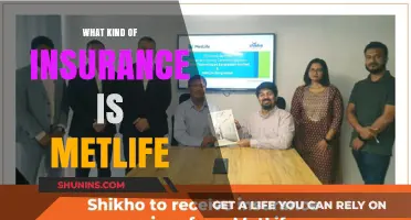 MetLife Insurance: What You Need to Know
