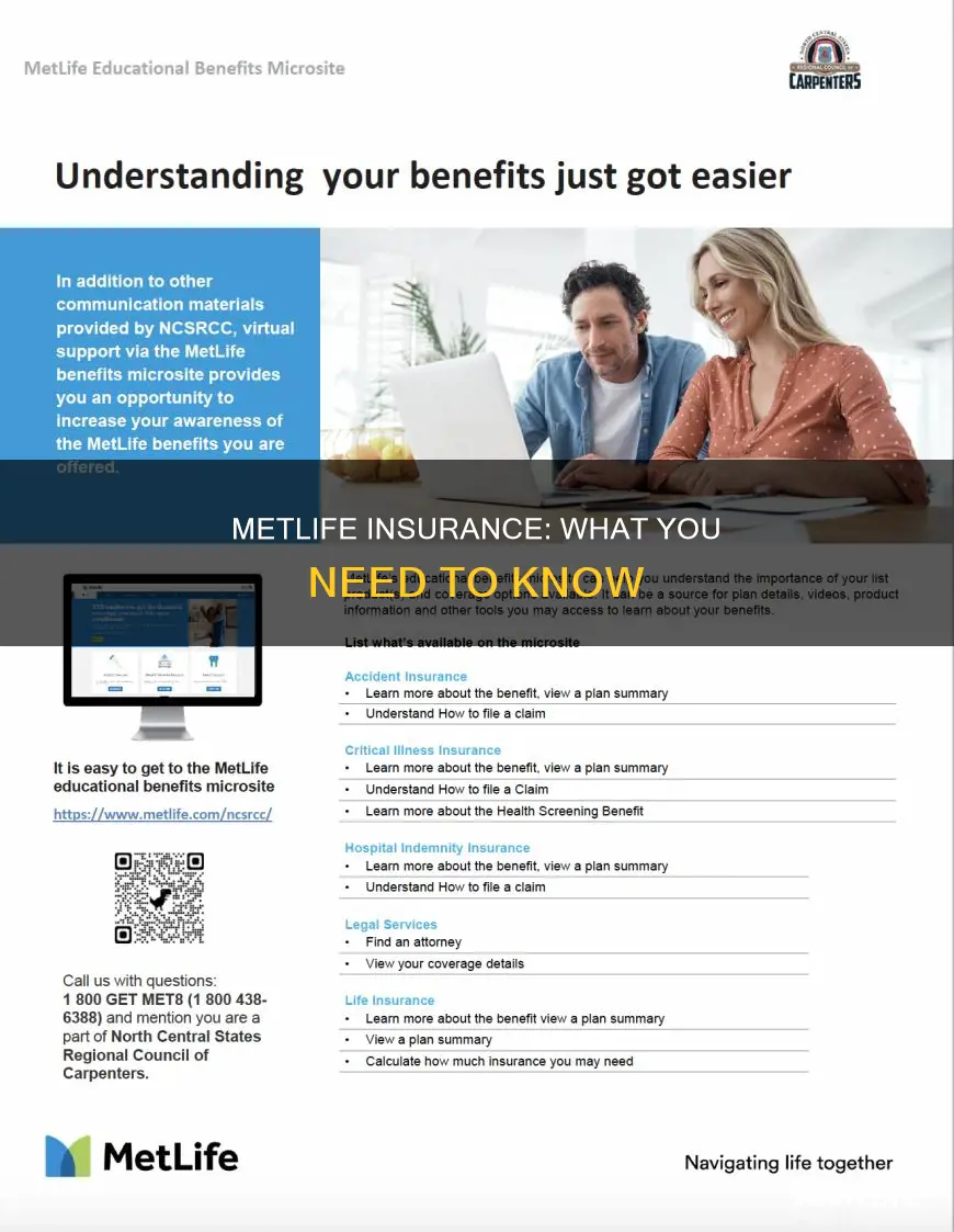 what kind of insurance is metlife