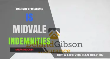 Understanding Midvale Indemnities: Insurance for Unique Scenarios