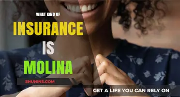 Molina Healthcare: Comprehensive Insurance Coverage