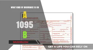 Understanding Your 1095-B Insurance Form