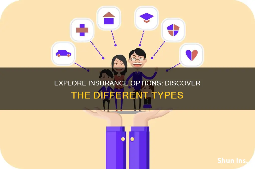 what kind of insurance is out there