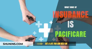 Pacificare Insurance: Understanding the Unique Healthcare Option