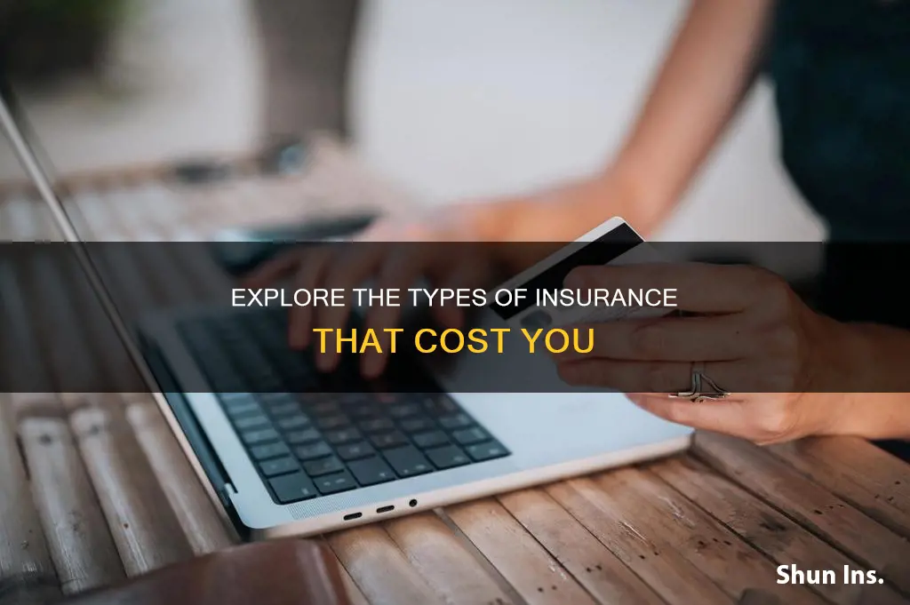 what kind of insurance is paid