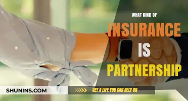 Partnership Insurance: Protecting Your Business and Partners