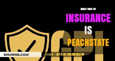 The Ultimate Guide to Peachstate Insurance: What You Need to Know