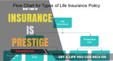 The Prestige Insurance: What You Need to Know