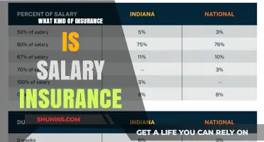 Salary Insurance: Protecting Your Income Stream