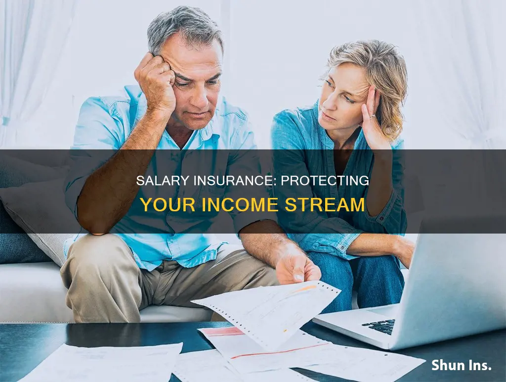 what kind of insurance is salary insurance